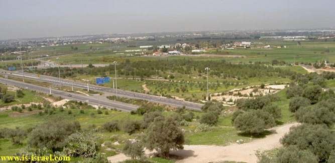 Вид с обзорной площадки Тель Хадид