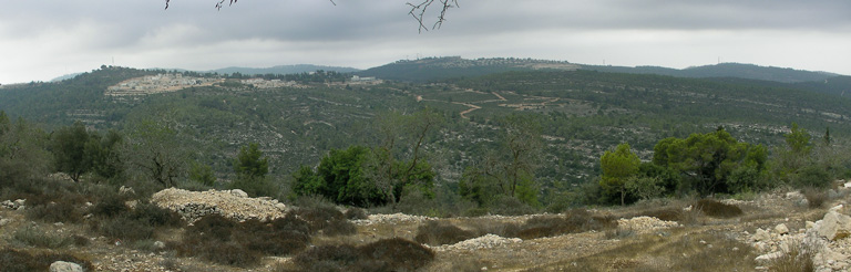 Вид на заповедник  Нахаль Кфира и поселок Натаф
