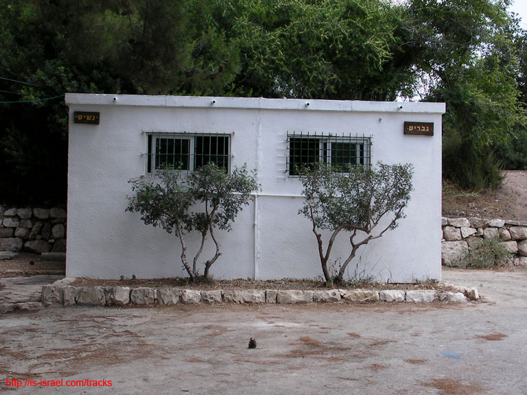 SANY8930