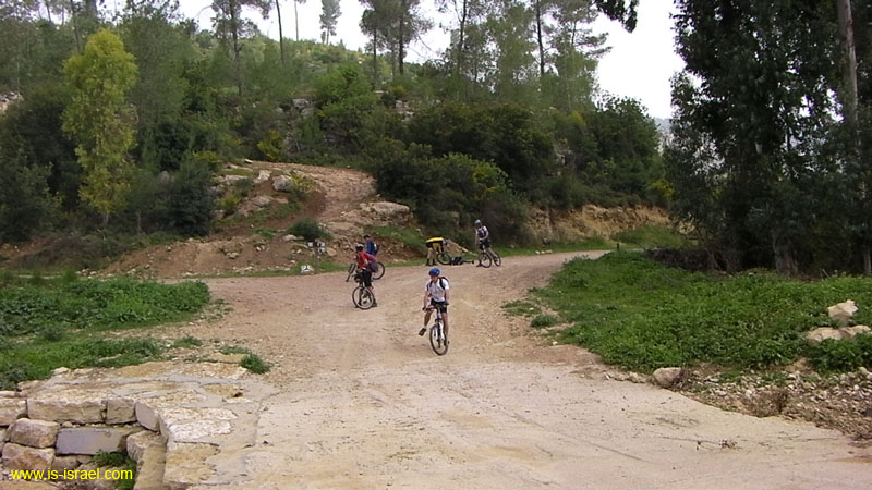 SANY0369