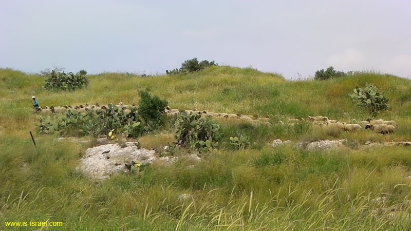 SANY0456