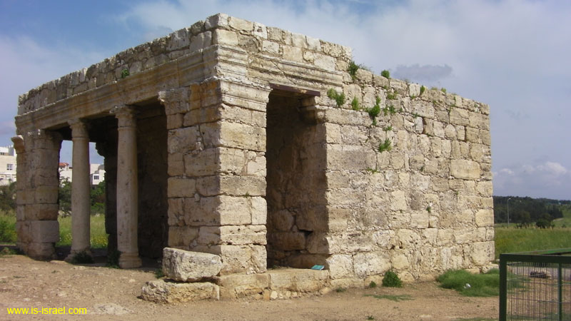 SANY0466