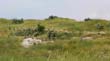SANY0456