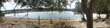 panorama2