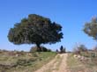 SANY3457