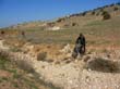SANY3608
