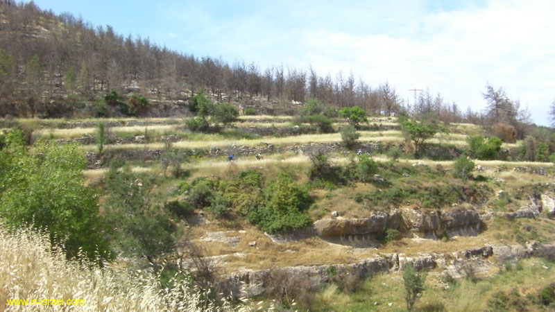 SANY0043