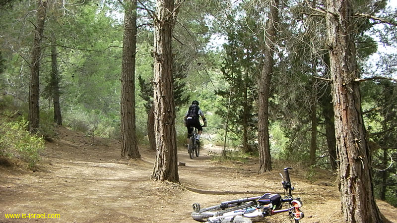 SANY0064
