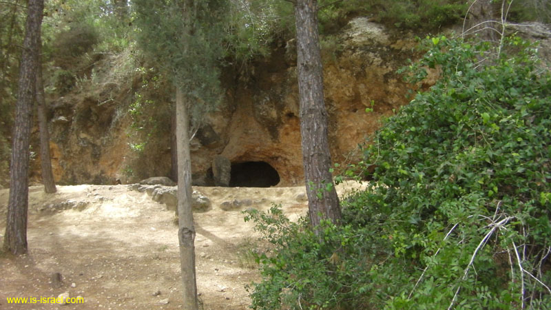 SANY0084