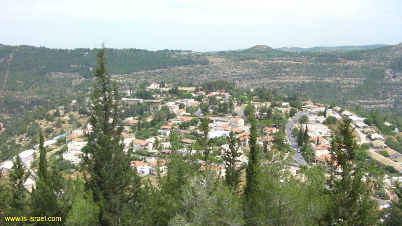 SANY0085