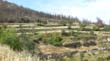 SANY0043