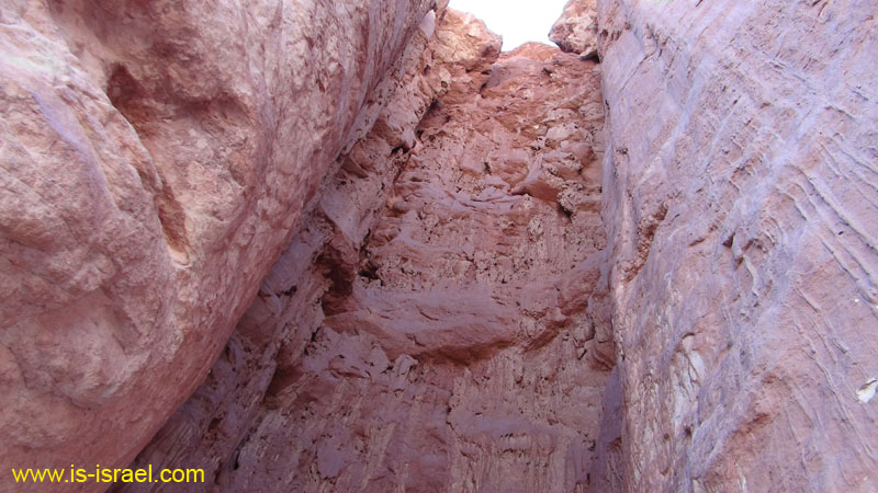 DSC09705