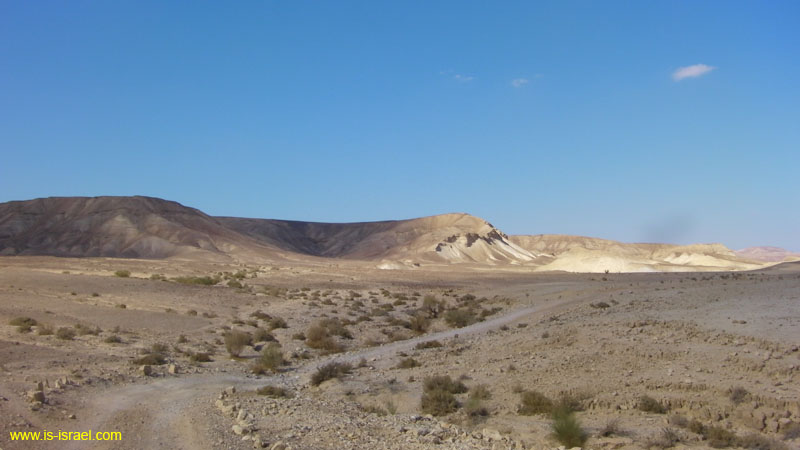 SANY0682