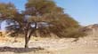 SANY0674