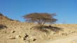 SANY0747