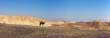 panorama1