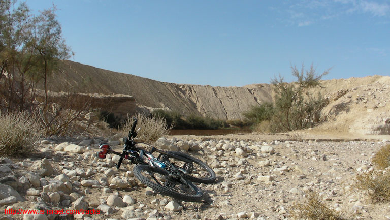 SANY4417