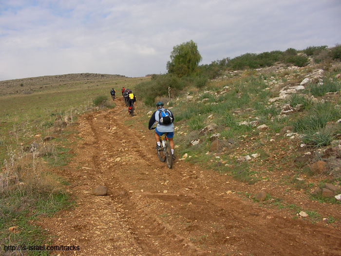 SANY1681