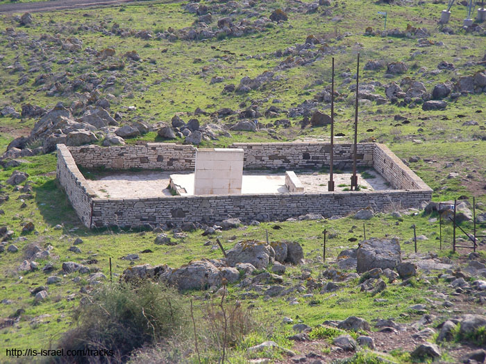 SANY1775