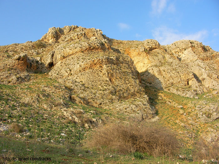 SANY1798