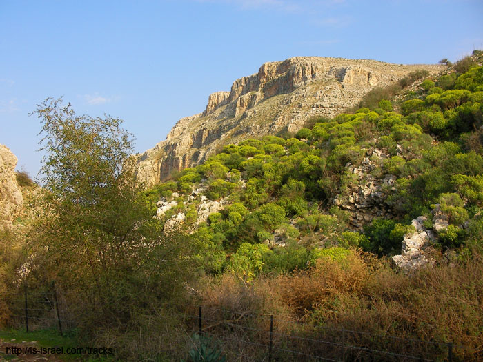 SANY1799
