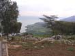 SANY1675
