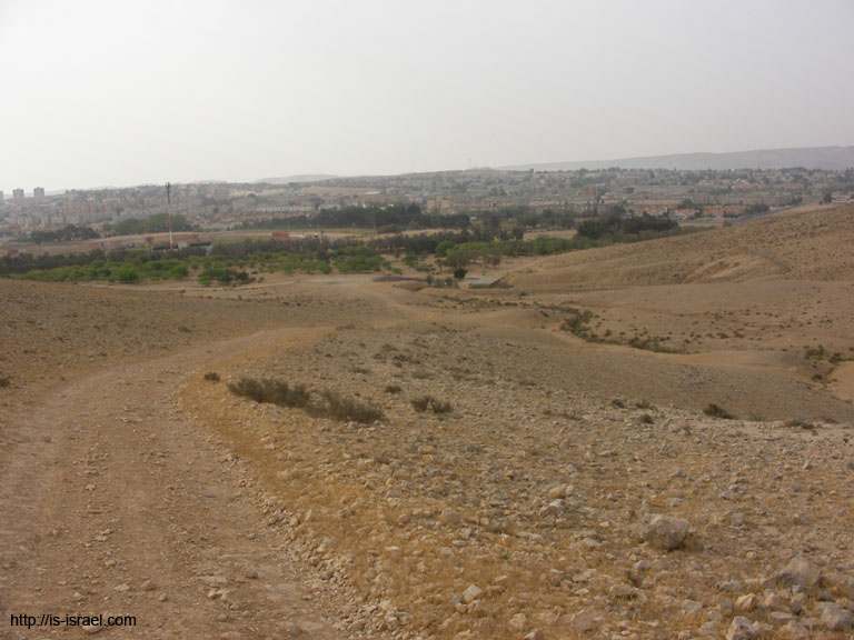 SANY6203