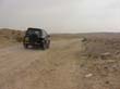 SANY6375