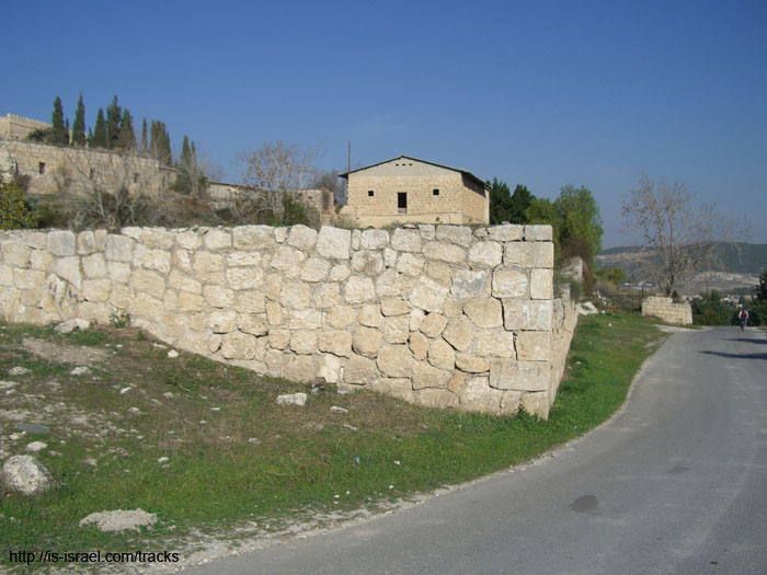 CIMG0125