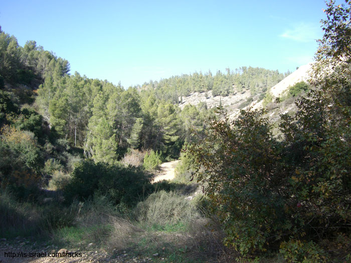 CIMG0144