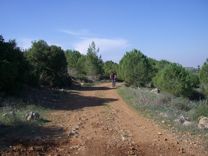 CIMG0145