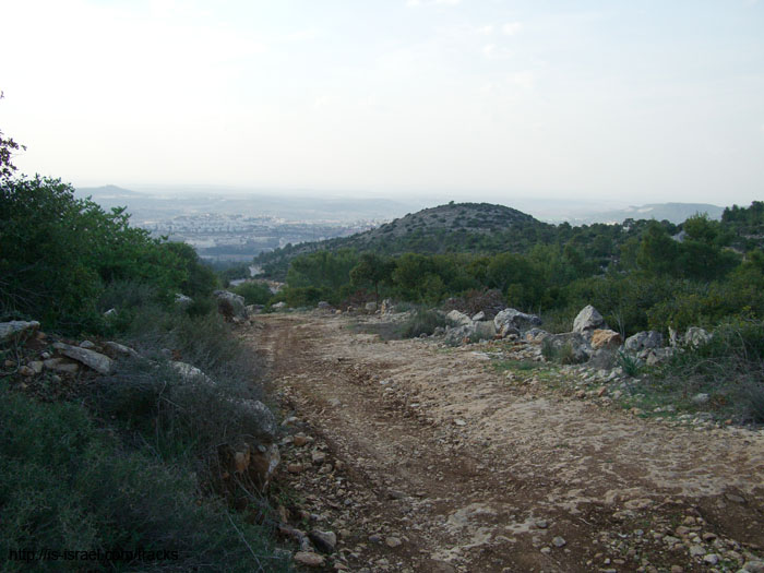 CIMG0161