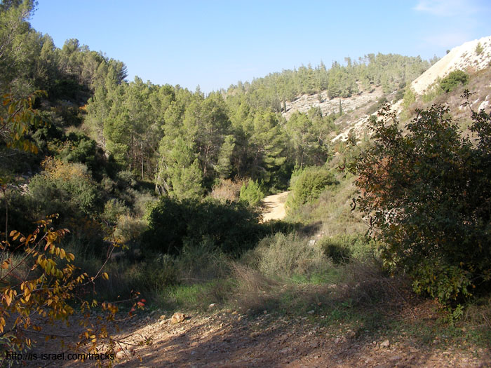 SANY0884