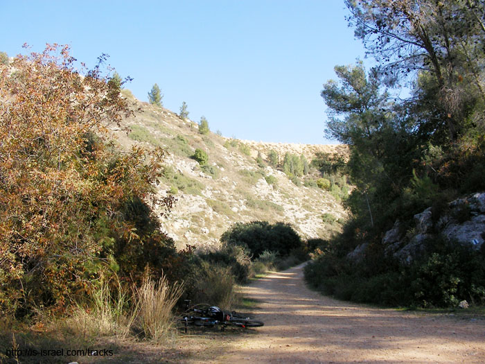 SANY0885