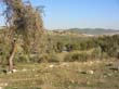 SANY0856