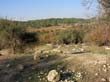 SANY0858
