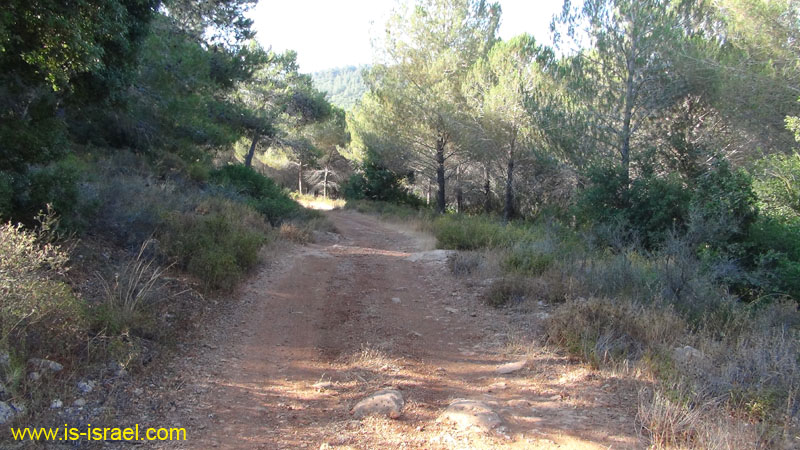DSC04280