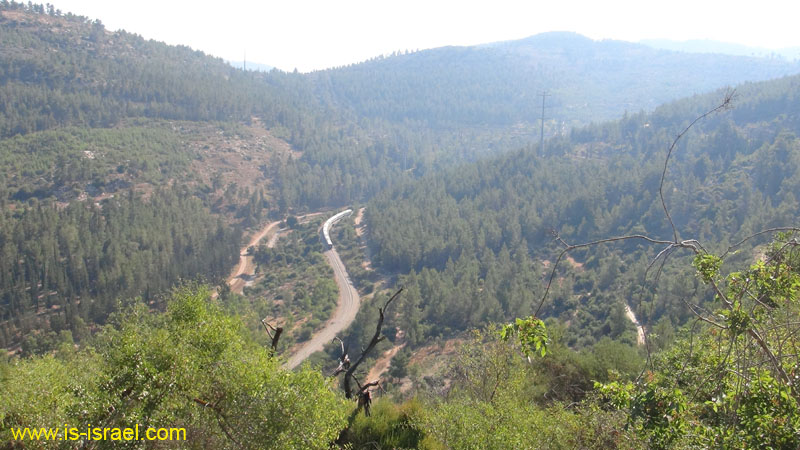 DSC04306