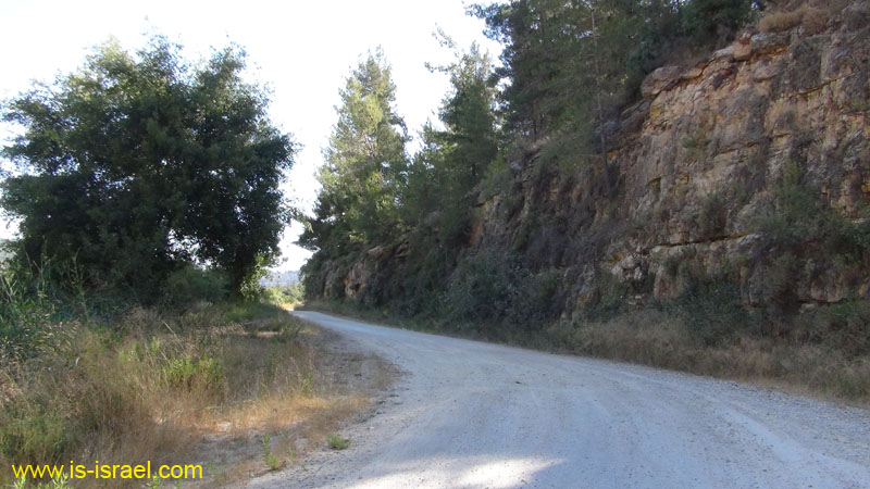 DSC04318