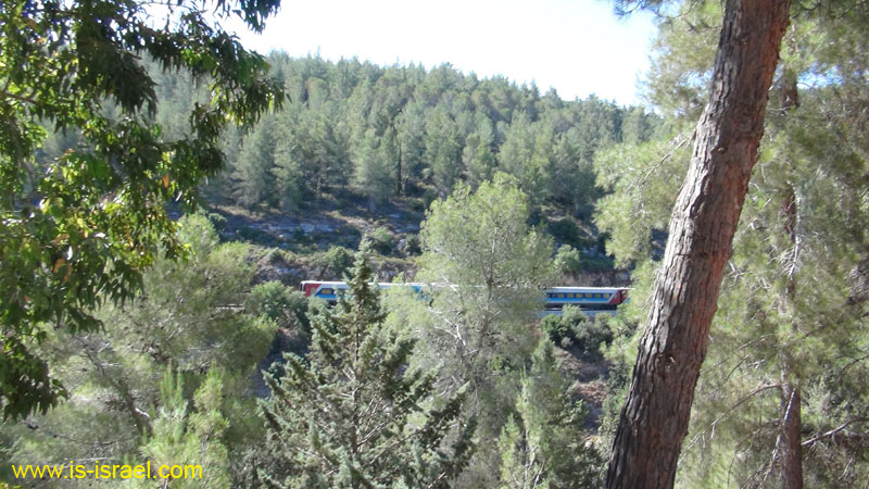 DSC04320