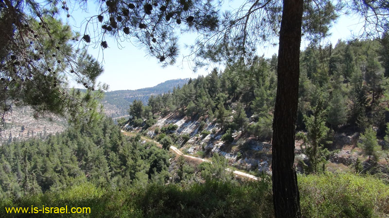DSC04351