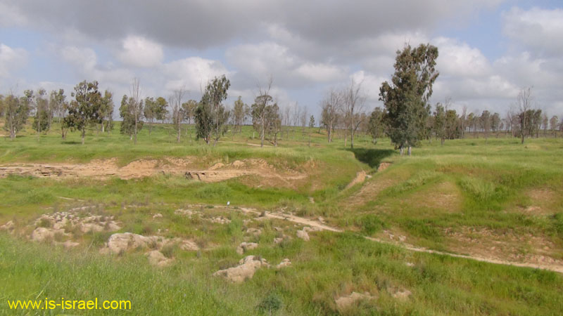 DSC00405