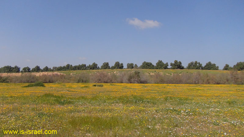 DSC00438
