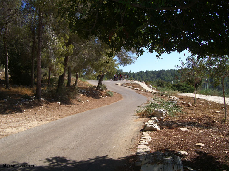 CIMG4258