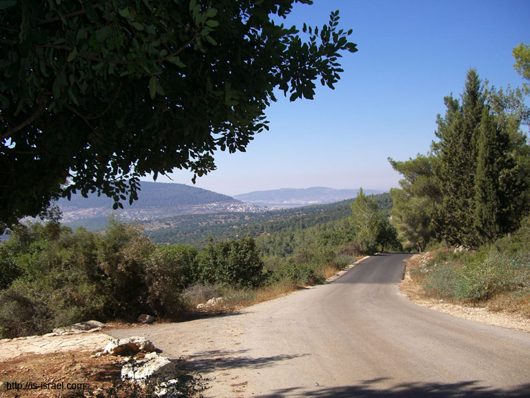 CIMG4259