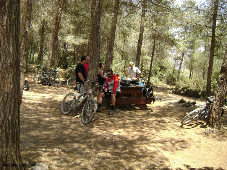 DSC00455