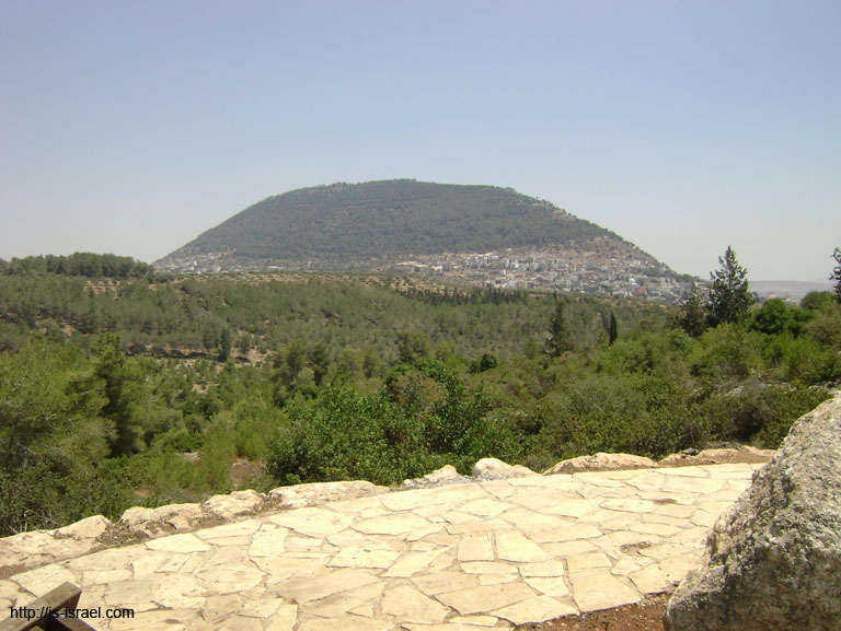 DSC00461