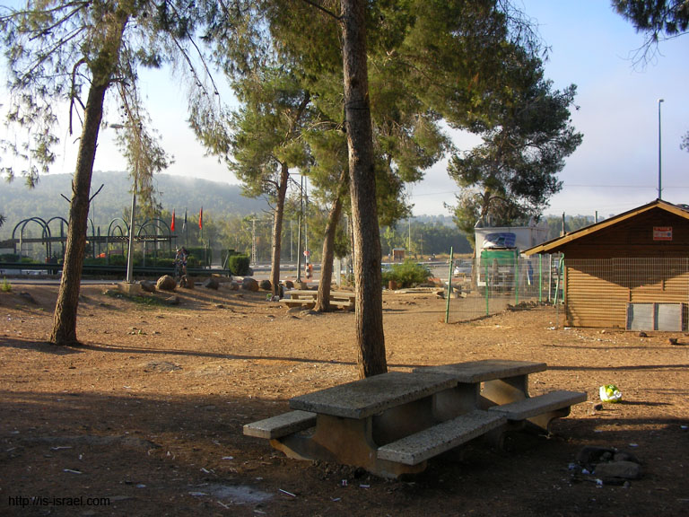 SANY7801