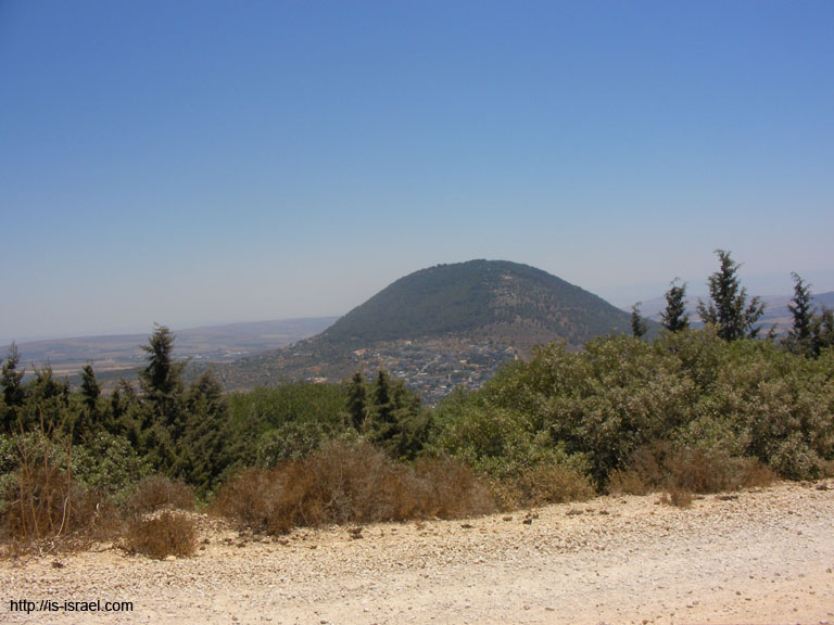 SANY7863