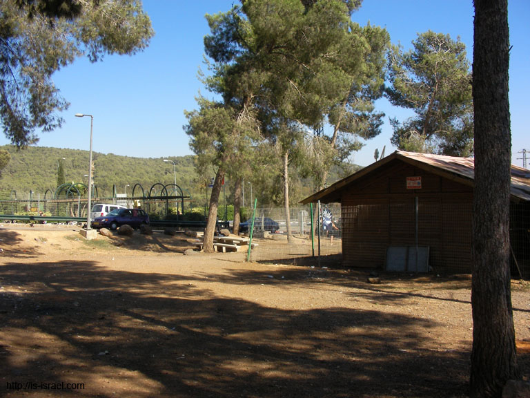 SANY7925